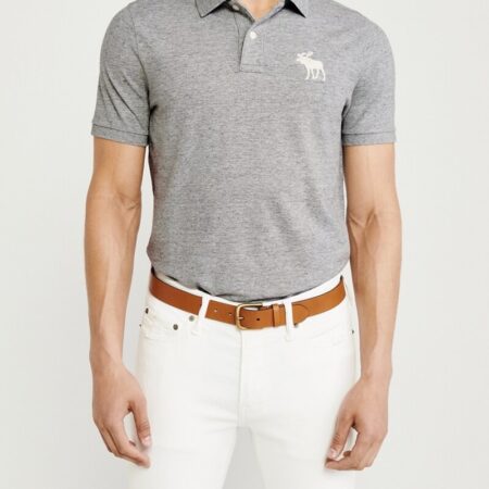 Hình Áo thun polo Abercrombie & Fitch AF-US-P50 Exploded Icon Stretch Polo